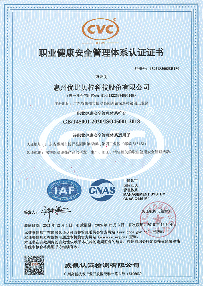  ISO Occupational Health and Safety Management System Certification 